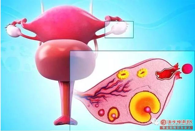 金华妇科炎症是女性孕育道路上的阻碍!